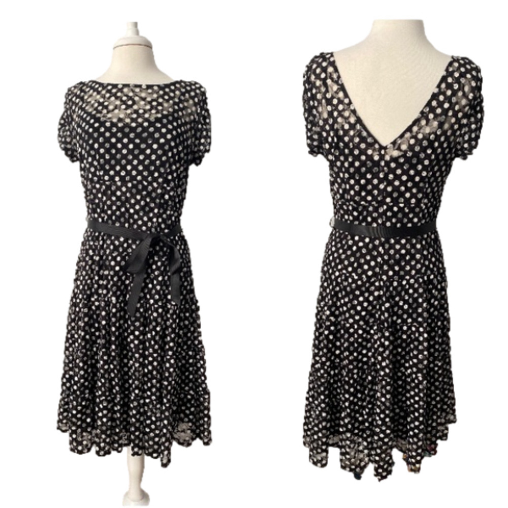 S.L. Fashions Women's 14 Timeless Sheer Polka Dot Floral Lace Lined Ruffle Dress